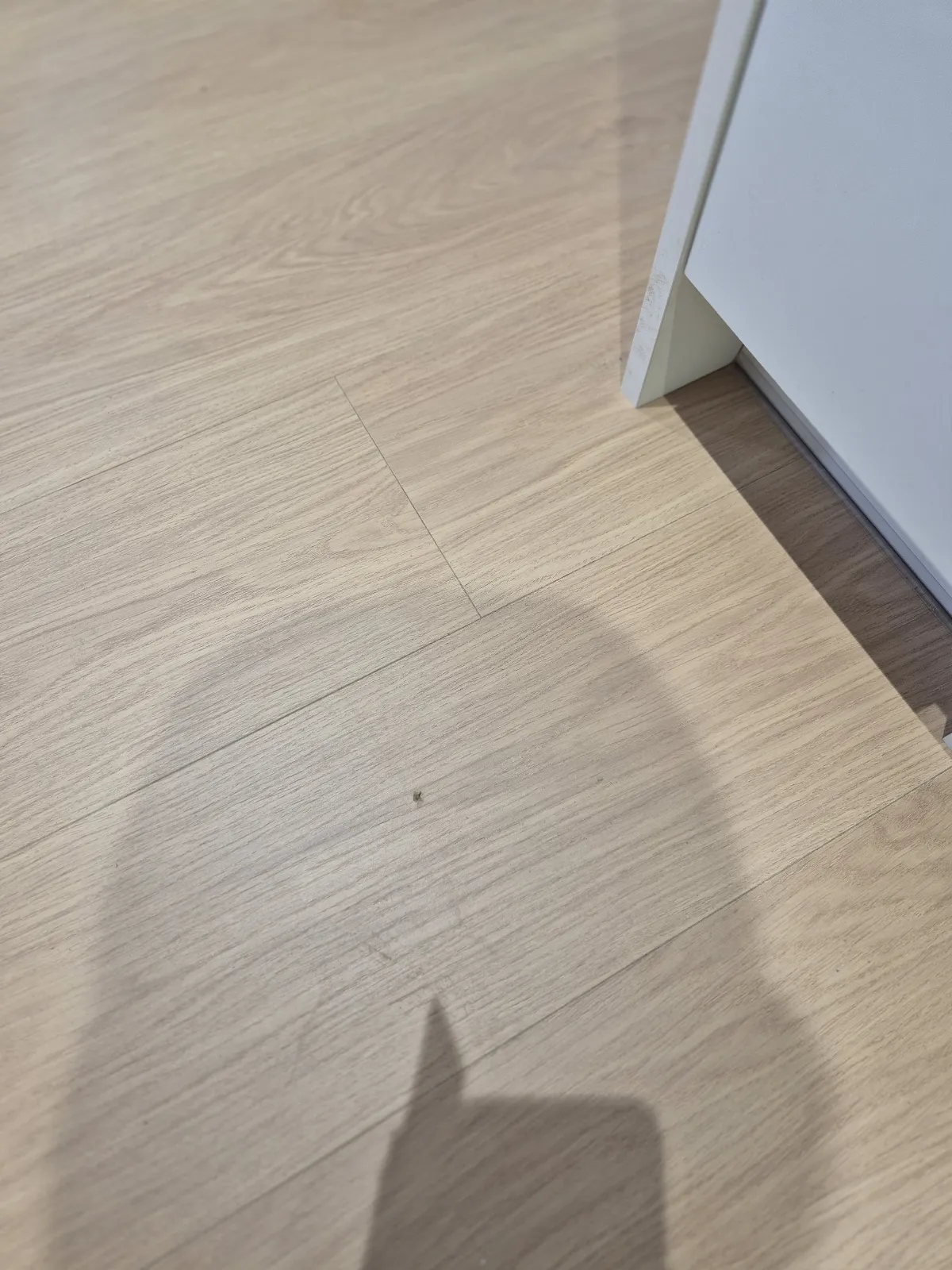 이사청소 폐기물 정리 현장 사진